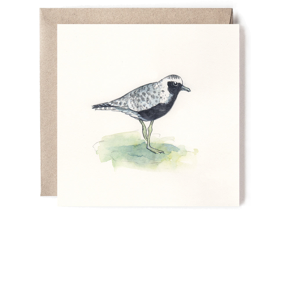 GREY PLOVER MINI CARD