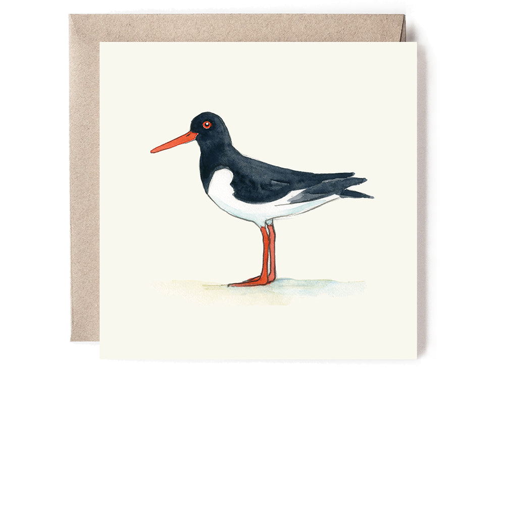 OYSTERCATCHER MINI CARD