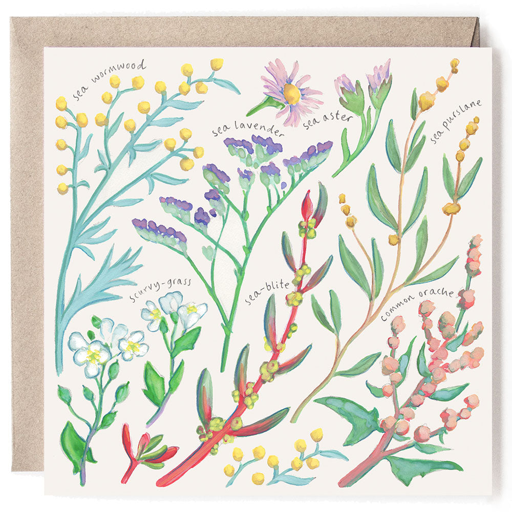 FLOWERS OF THE SALTMARSH CARD
