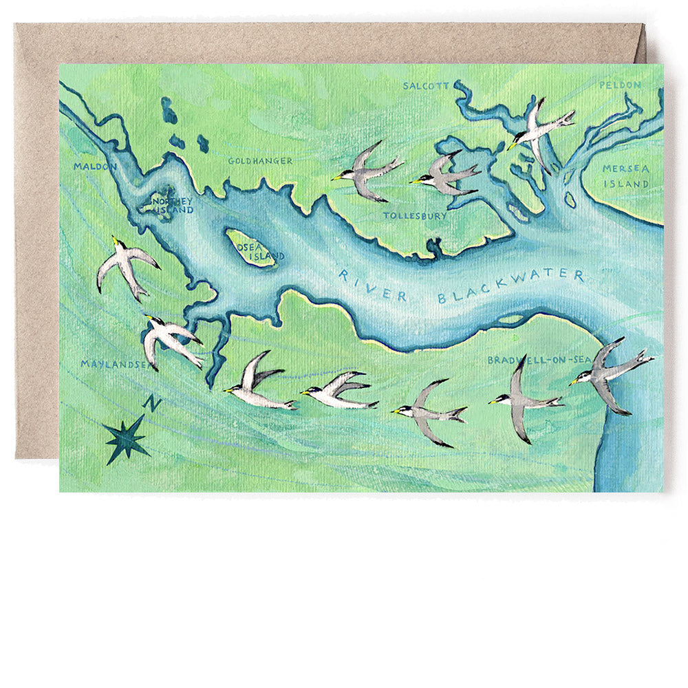 LITTLE TERNS ON THE BLACKWATER CARD