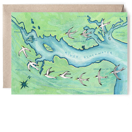 LITTLE TERNS ON THE BLACKWATER CARD