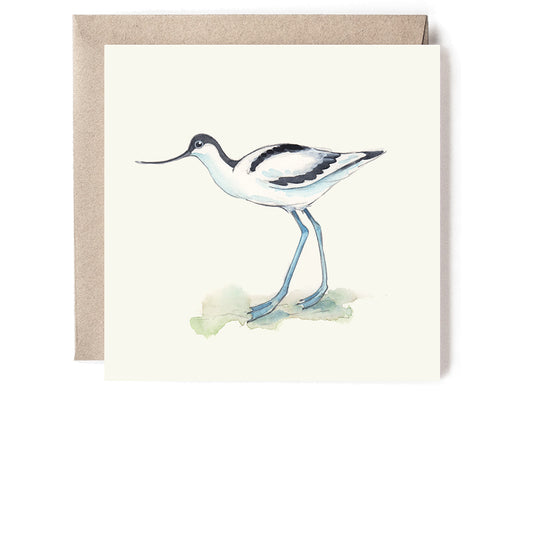 AVOCET MINI CARD