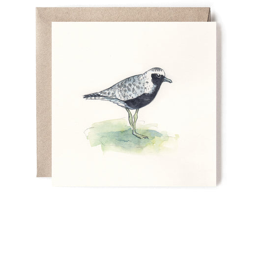 GREY PLOVER MINI CARD