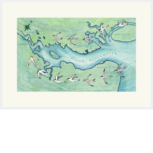 LITTLE TERNS ON THE BLACKWATER PRINT