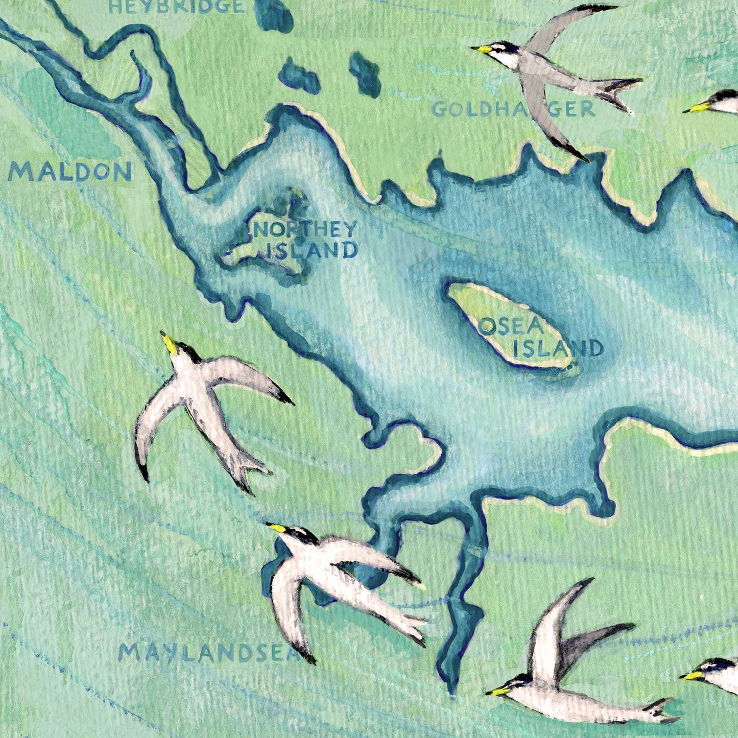 LITTLE TERNS ON THE BLACKWATER PRINT