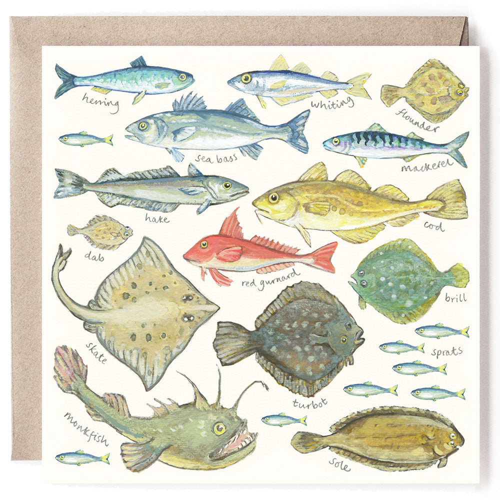 SOME BRITISH FISH CARD